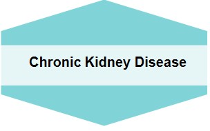 People with Chronic Kidney Disease (Stages 2–4) 
